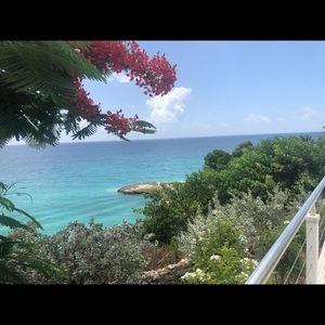 Meet your Posher, Tess